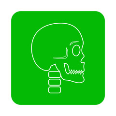 Icono plano lineal calavera en cuadrado color verde
