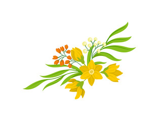 Spring flowers on white background. Floral concept.