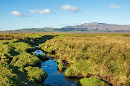 Askam Saltmarsh with Black Combe in the distance