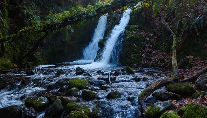 Twin Waterfall- Dartmoor