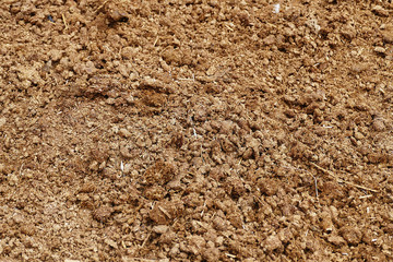 natural cow dung, soil fertilizer for manure,