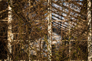 okno © kolorowekadry