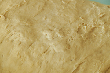 a large amount of fermented dough in the container,