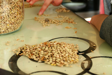 green lentil cleaning work on the table,