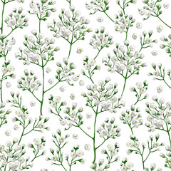 Seamless pattern with gypsophila flowers in watercolor style isolated on white background - 260127911