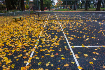 tennis court covered by leaves