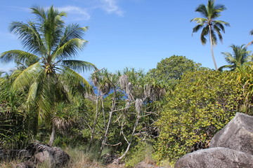 Obraz na płótnie Canvas seychelles private island beach sun