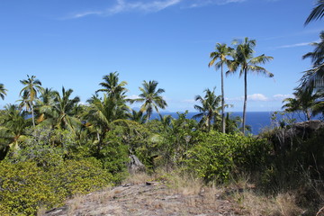 Fototapeta na wymiar seychelles private island beach sun