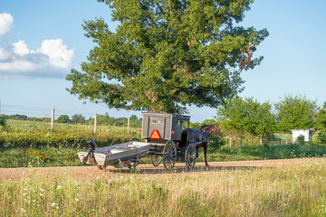 Amish Buggy Pulling Boat on Rural Road