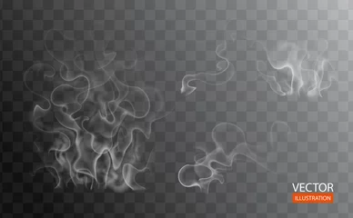 Poster Hot steam over cup on dark or transparent background. White cigarette smoke wave. Set of fume on water, tea, food, coffee, ice. Vapor, mist, cloud, gas, fog vector illustration. Hazy fragrance on ice © Anastasia Crowley