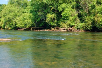 A Creek Runs Through It