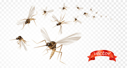 Insect mosquito, gnat and pest illustration for repellent oil, spray and patches ads, poster. Flying mosquitoes flock in air isolated promo. Viruses and diseases spreading medical vector concept.  - obrazy, fototapety, plakaty
