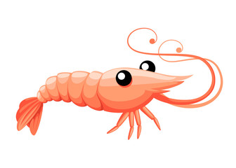 Cute shrimp. Cartoon animal character design. Swimming crustaceans. Flat vector illustration isolated on white background