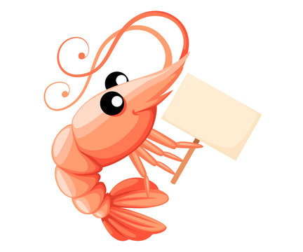 Cute shrimp holding sign. Cartoon animal character design. Swimming crustaceans. Flat vector illustration isolated on white background