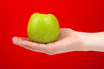 Hand holding tasty organic green delicious apple Isolated on red Background