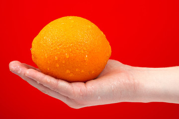 Ripe juicy delicious orange in hand isolated on red background.