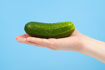 Hand holding organic delicious cucumber Isolated on red Background. Healthy eating and dieting concept