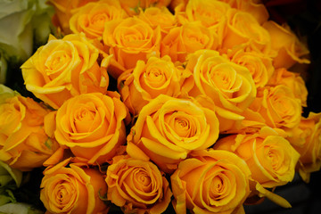 Obraz na płótnie Canvas yellow roses bouquet