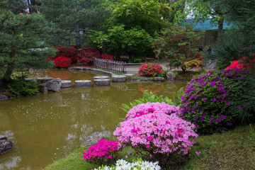 Fototapeta na wymiar Azalea blossom and pond in Japanese Garden, Potsdam, Germany