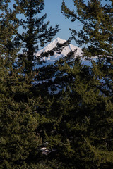 Mt. hood and portland city