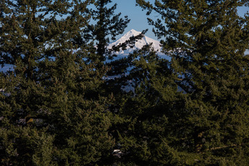 Mt. hood and portland city