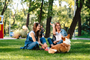 Fototapeta Two female friend in the park play with little dog obraz