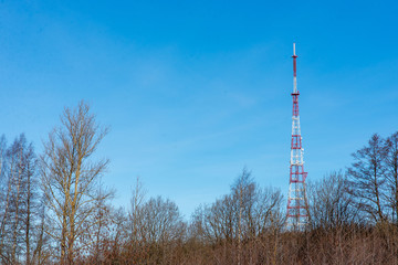TV tower in the forest