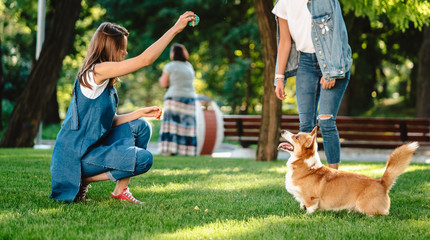 Portrait of woman with dog Welsh Corgi Pembroke in dog park