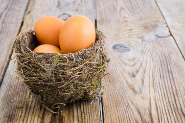 Bird nest with large eggs.