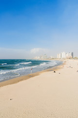 Sandy seashore with clear water and huge waves in the sea at sunny day with skyscrapers of the metropolis on the background.