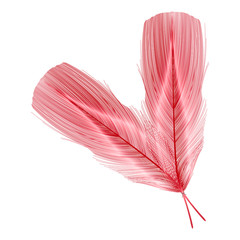 Heart with feathers. Vector illustration.