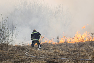 Obraz premium Firefighter tries to put out a forest fire, battling with wild burning grass on a swamp.