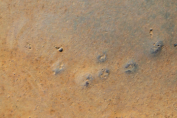 Yellowish texture and rust background with dots and spots