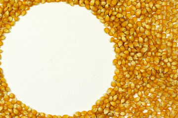 Corn on a white background 