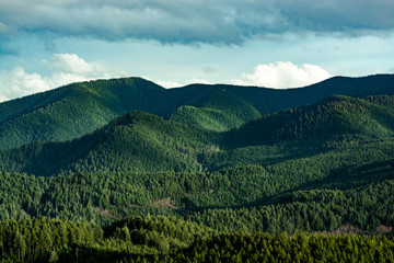 Mountian Range