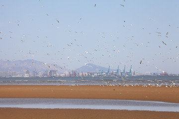 qinhuangdao coast in china
