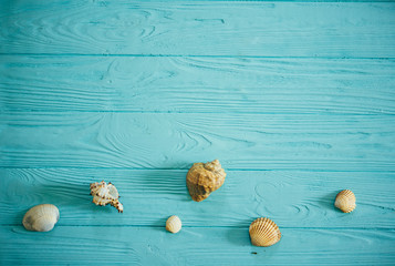 Summer time concept with sea shells on a blue wooden background