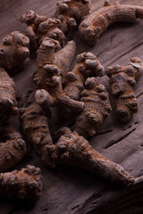 chinese herb sanqi
