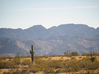 Desert landscape in Kofa National Wildlife Refuge, Arizona.