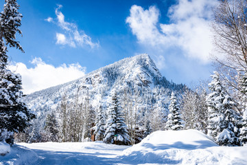 Mt Royal in Winter