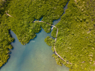 Aerial view of green mangrove forest with boardwalk from the drone. Koh Chang island, Thailand.