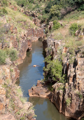 Bourke's Luck potholes, Blyde River Canyon near Graskop, Mpumalanga, South Africa. 