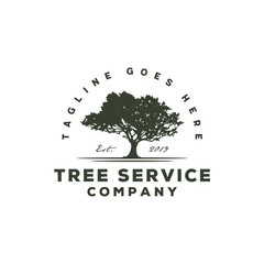 Obraz premium Oak Maple Beech silhouette for Tree service residential landscape vintage logo design
