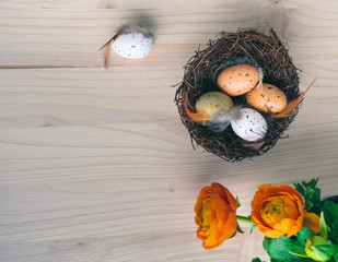 Top view of blooming orange spring flowers and a brown straw Easter nest with dotted quail eggs decorations with feathers on wooden background with space. Natural colors, Easter egg nest background