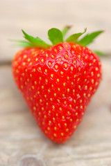 Fresh strawberry photographed in daylight conditions