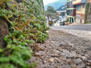 Camino natural, lo que se esconde atrás de un camino