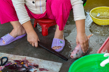 Woman at an Outdoor Market in Vietnam Gutting a Fresh Fish