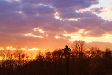 color sunset sky over the dark forest, background