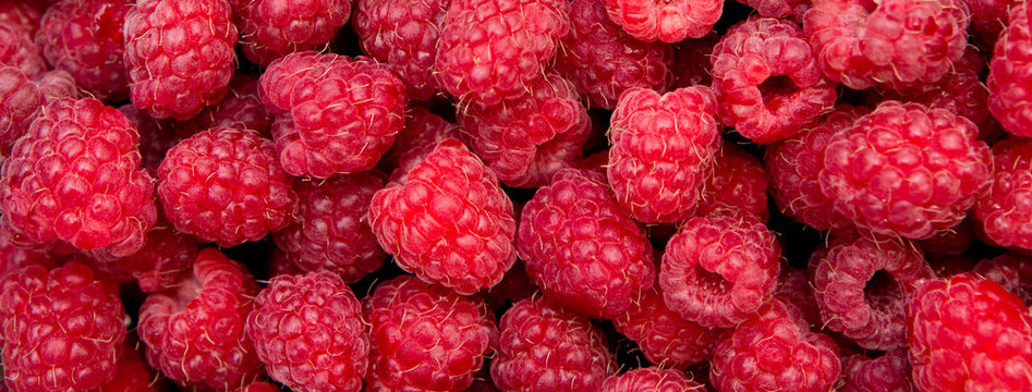 Background from fresh raspberry berries, close up