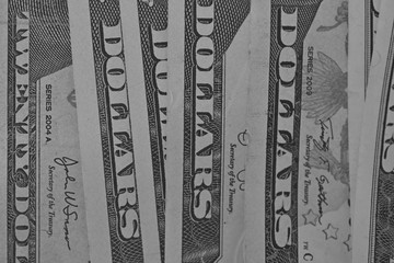 dollar bills on a flat surface vertical, monochrome